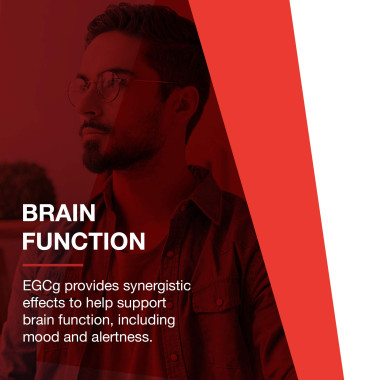 Protocol For Life Balance EGCG Green Tea Extract - B001KMYE9K