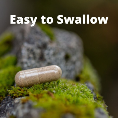 Pure Mountain Botanicals Bacopa 100% Vegetarian - B00S02A1UO