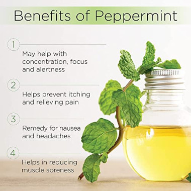 Radha Beauty Peppermint Oil 100% Pure & Natural - B01JRD7Y9U