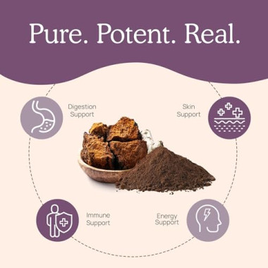 Real Mushrooms Organic Chaga Mushroom Digestive Health - B078T4JSD5