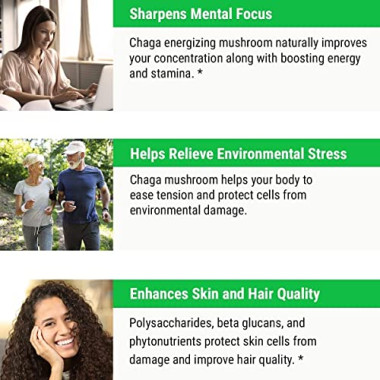 Sayan Siberian Chaga Mushroom Extract - B00BJQ8T0M