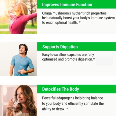 Sayan Siberian Chaga Mushroom Extract - B00BJQ8T0M