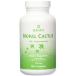 Seagate Nopal Cactus