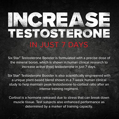 Six Star Pro Nutrition Testosterone Booster Elite Series - B007VN4HKI