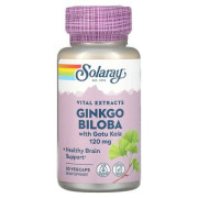 Solaray One Daily Ginkgo Biloba Leaf Extract - B00020HZ8I