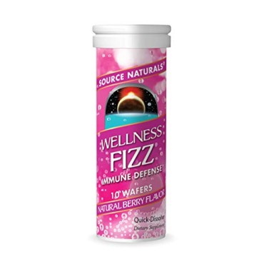 Source Naturals Wellness Fizz - B000PV5BZS