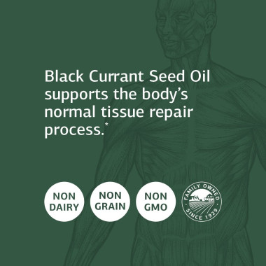 Standard Process Black Currant Seed Oil - B002D2Z3JQ