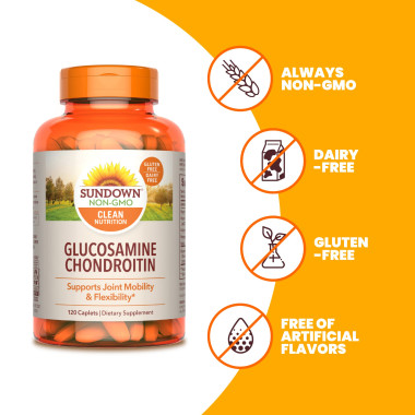 Sundown Naturals Glucosamine Chondroitin Double Strength - B000PT7EIW