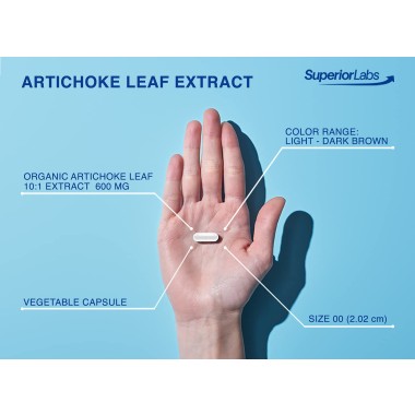 Superior Labs Artichoke 100% Pure Leaf Extract - B00LF8SN8M
