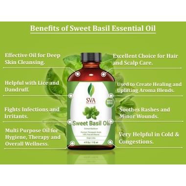 SVA Organics Sweet Basil Oil - B07N8XW62L