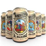 Tealixir Kombucha Probiotic Vegan Energy Drink - B018WNREPA