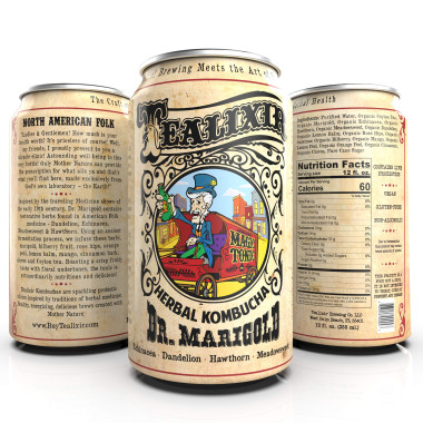 Tealixir Kombucha Probiotic Vegan Energy Drink - B018WNREPA