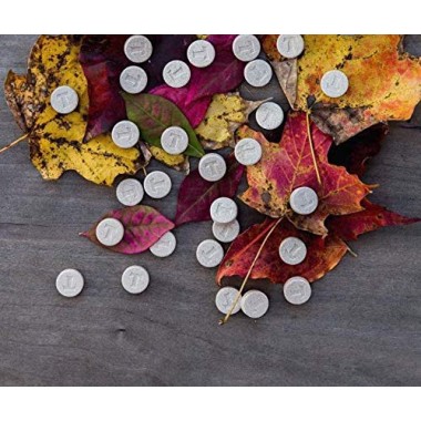 Thayers Slippery Elm Rose Hips + Vitamin C - B0012BZFBU