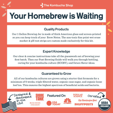 The Kombucha Shop Kombucha - B00LW7OR4A