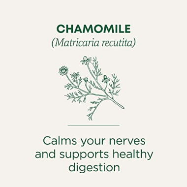 Traditional Medicinals Organic Herbal Chamomile Tea - B0009F3PM6