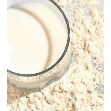 Vital Proteins Organic Whey Protein - B01D20PJEG