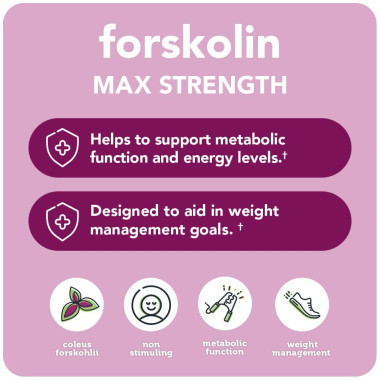 Vitamin Bounty Forskolin Non GMO Gluten Free - B06XR1Z3FJ