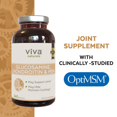 Viva Naturals Glucosamine with Chondroitin and MSM - B00STSUPCS