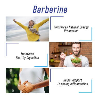 We Like Vitamins Berberine Support Immune - B01EVFM16U