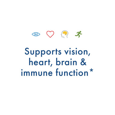 WHC UnoCardio X2 - B01MQJZI9D