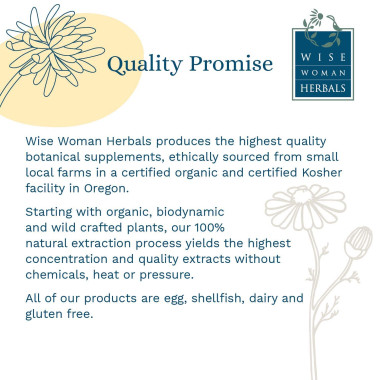 Wise Woman Herbals Gentian & Skullcap - B005T6DFN4