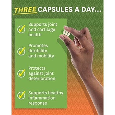 Zenwise Health Advanced Strength Joint Support - B00UW3E2HW