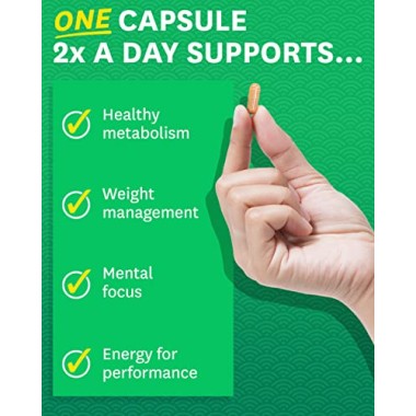 Zenwise Health Caffeine-Free Green Tea Extract with EGCG + Vitamin C - B00RH5I8U0
