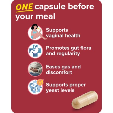 Zenwise Health Daily Digestive Enzymes with Prebiotics + Probiotic - B077ZVXXG2