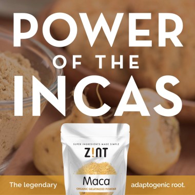 Zint Maca Organic Gelatinized Powder - B06WP6HNXX