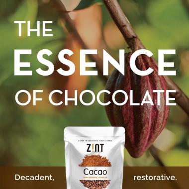 Zint Raw Organic Cacao Powder - B0756ML5CR